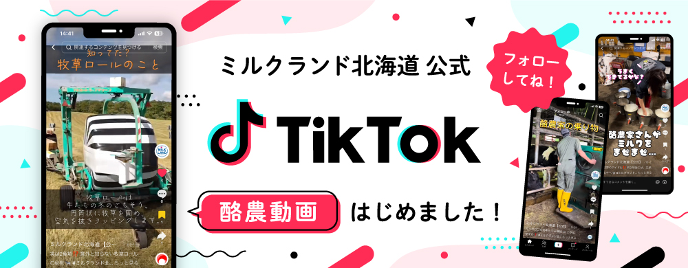 TikTok公式アカウントで「酪農動画」を公開しています！