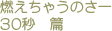 燃えちゃうのさー　30秒篇