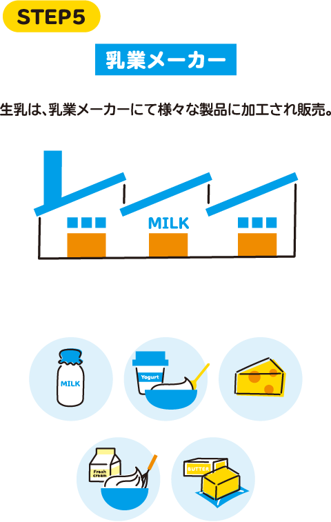 STEP5 乳業メーカー 生乳は、乳業メーカーにて様々な製品に加工され販売。