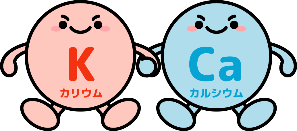 カリウム、カルシウム