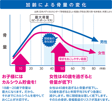 図版：加齢により骨量の変化